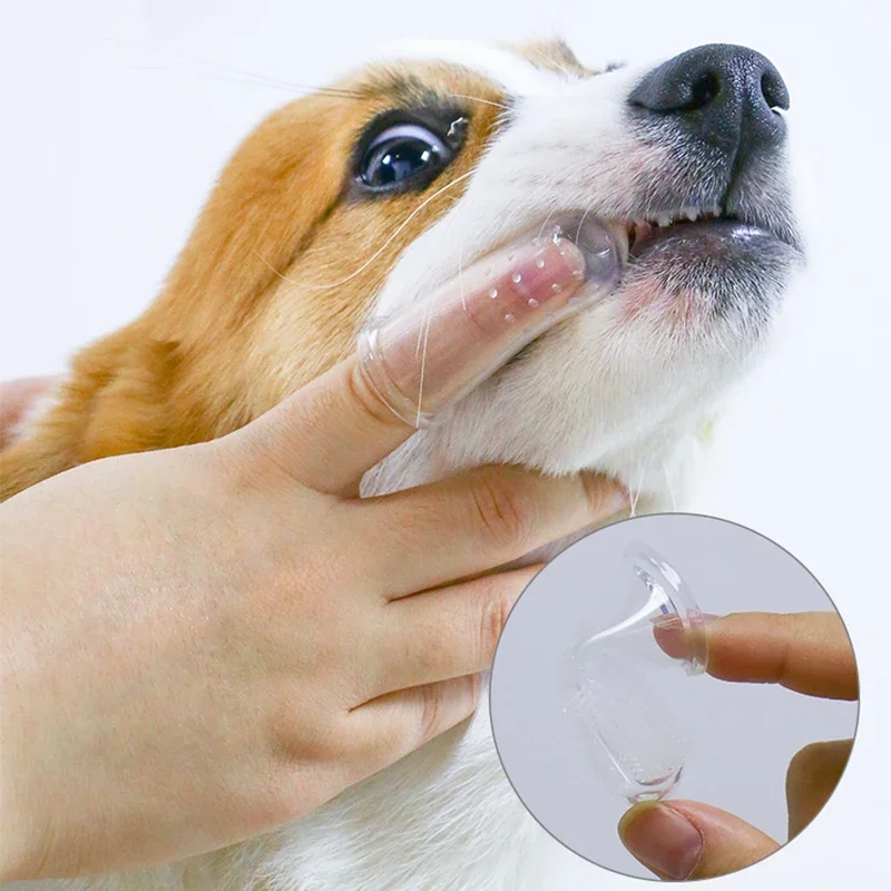 Super Soft Pet Finger Toothbrush Teddy Dog Brush Bad Breath Tartar Teeth Care Tool Dog Cat Cleaning Silicagel Pet Supplies Super Soft Pet Finger Toothbrush Teddy Dog Brush Bad Breath Tartar Teeth Care Tool Dog Cat Cleaning Silicagel Pet Supplies